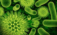 /album/biologia-e-muito-legal/cellular-virus-wallpaper-jpg/
