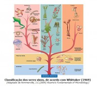 /album/biologia-e-muito-legal/a2-jpg/